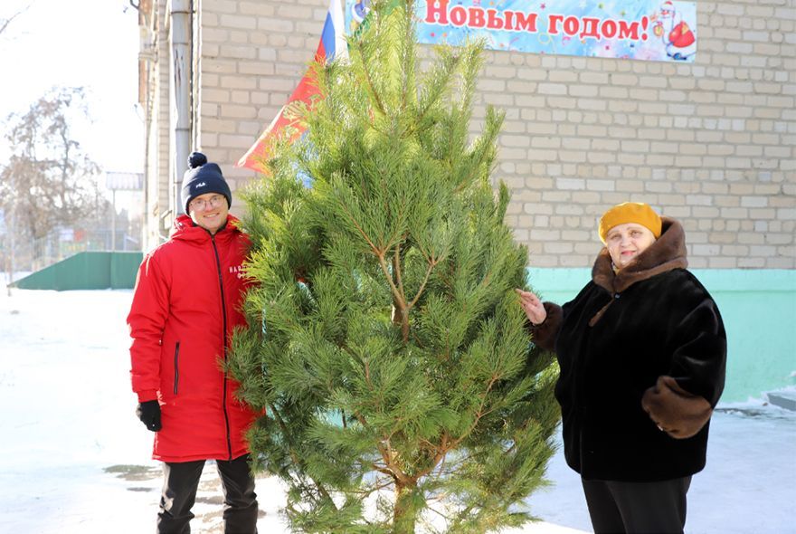 Зеленые красавицы для маленьких жителей Пензы