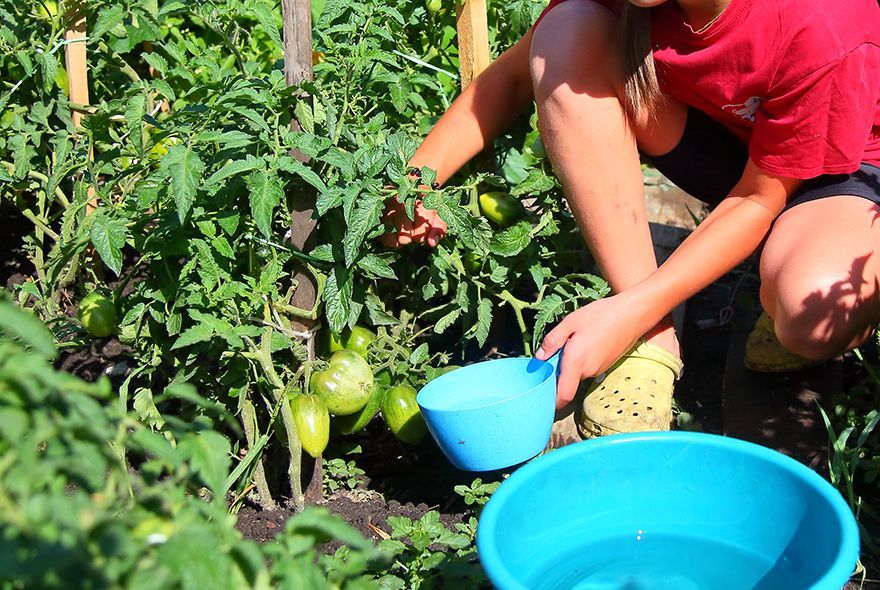 Дача: что можно, что нельзя