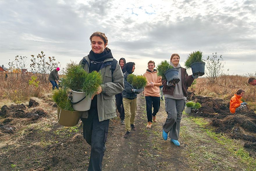 В Заре высадили сосны