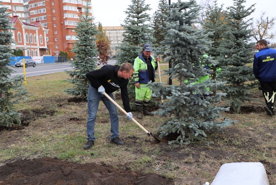 Озеленение Пензы продолжается 