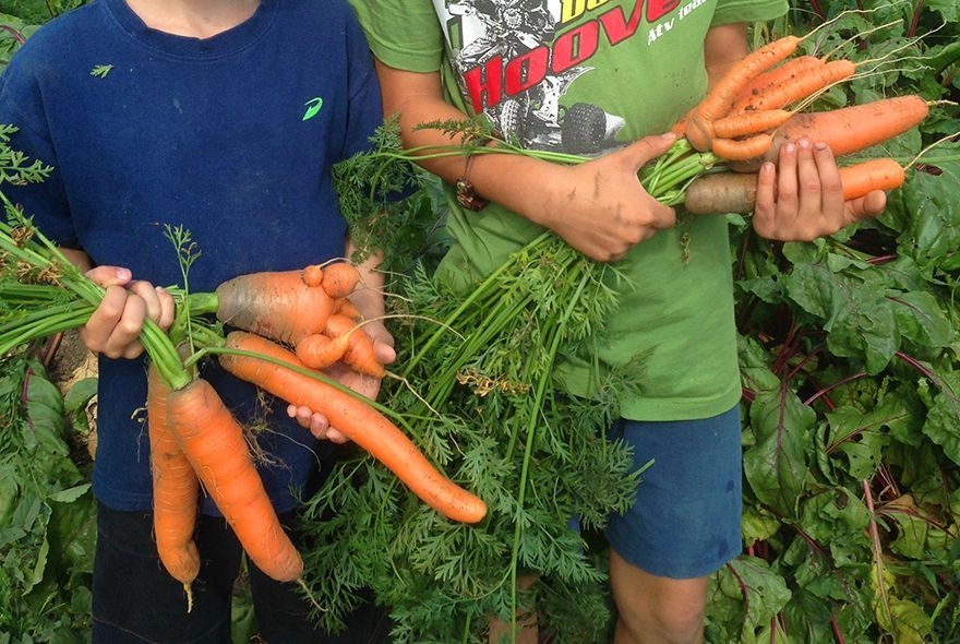 Грызите морковку!