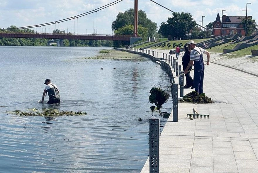 В Пензе Суру очищают от водорослей