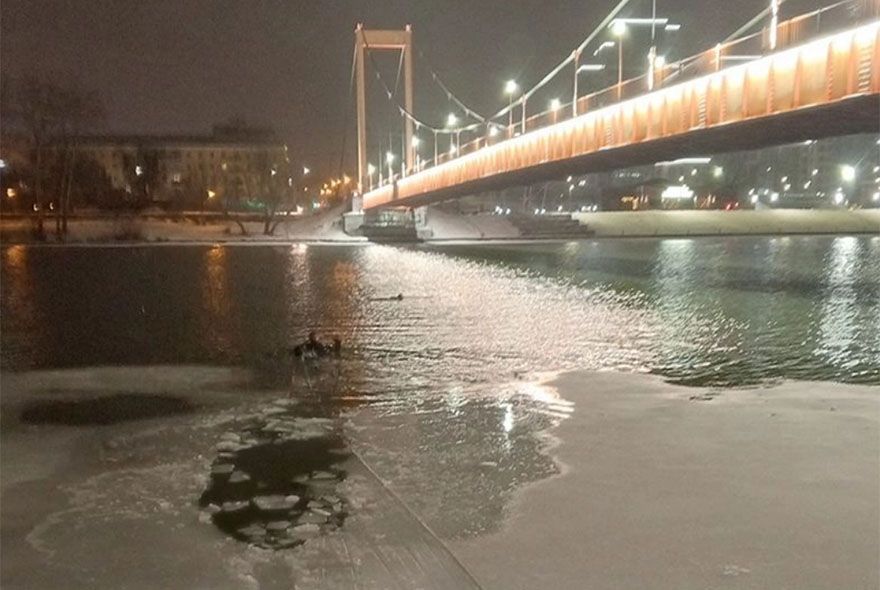 В Пензе спасли тонущего
