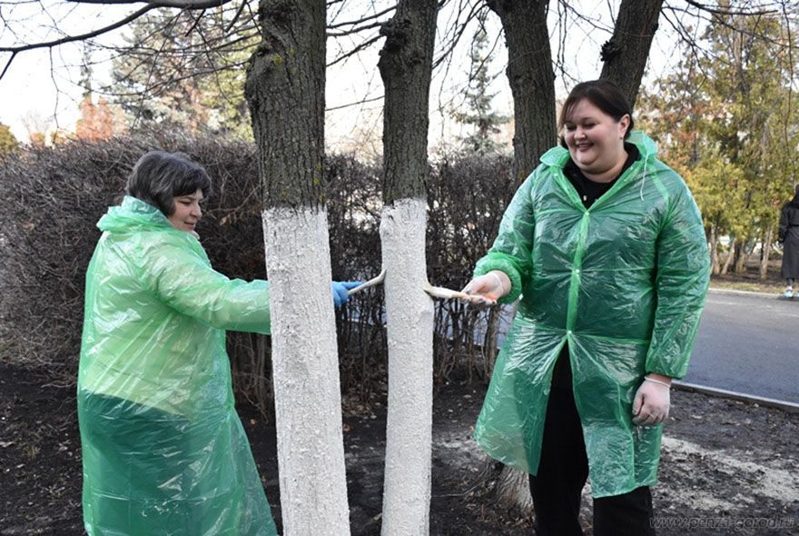 В Пензе прошел общегородской субботник