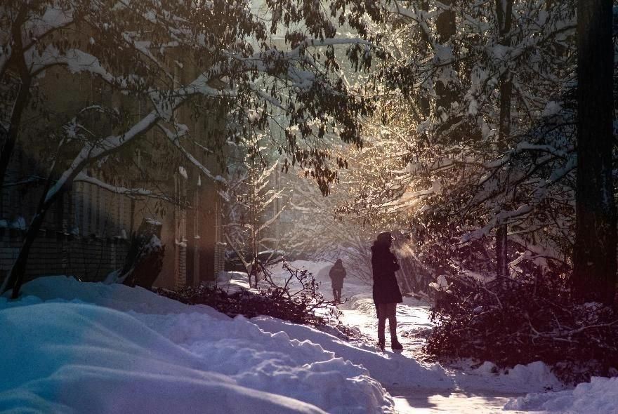 Два пензенских дерева претендуют на звание особенного в России