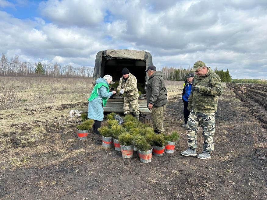 В Ахунско-Ленинском лесничестве прошла акция «Сад памяти»