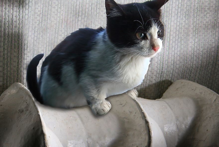 Отключение отопления в Пензе перенесли на 13 апреля