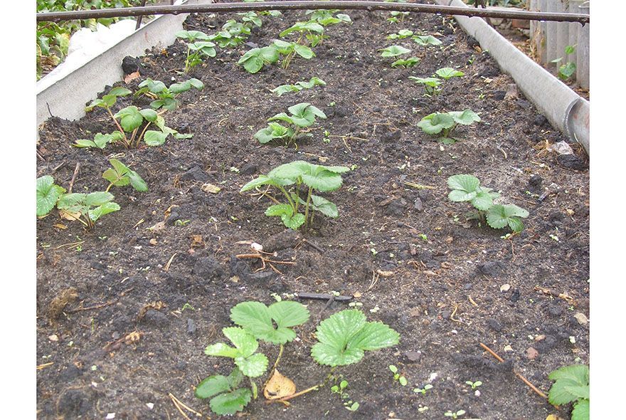 Крыть или не крыть?