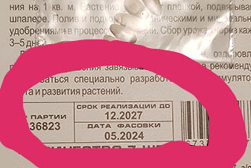 Семена впрок