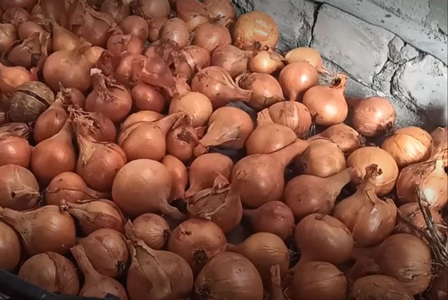 Долежать до лета