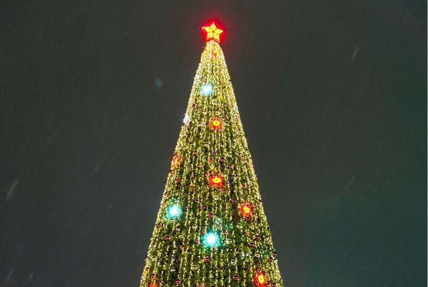 «Нарядим ёлку вместе!»