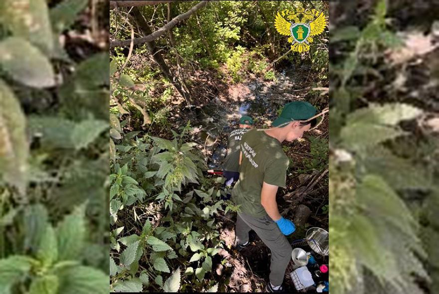 В Пензе в Заре разлилась канализация