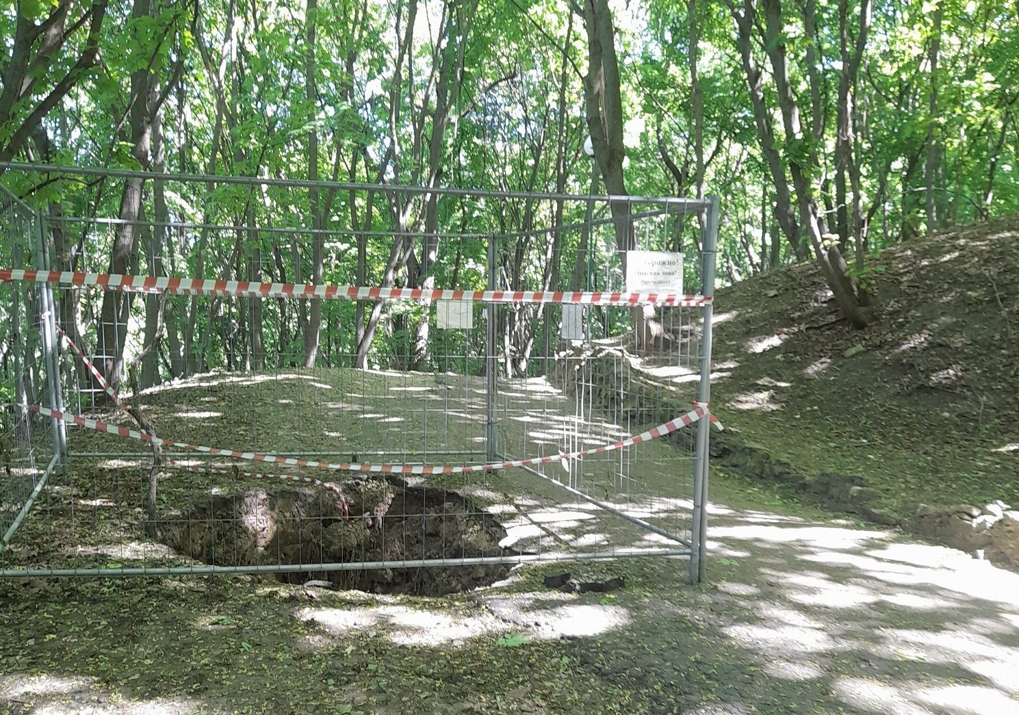 Загадки тенистых аллей