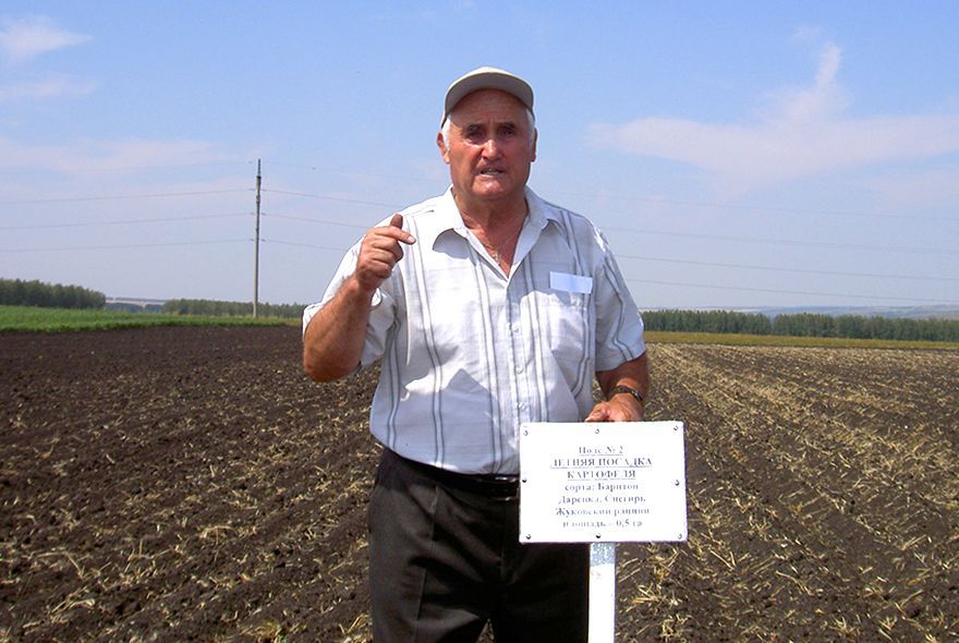 Картофель всегда в моде