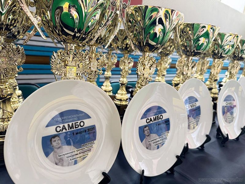 В Пензе прошел турнир по самбо