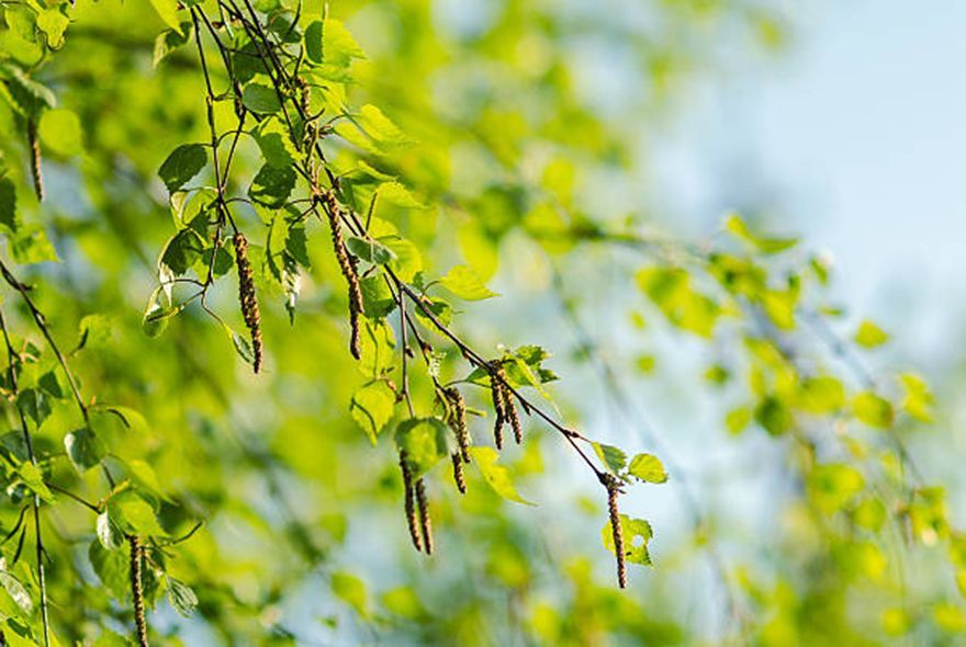 Верить ли в народные приметы?