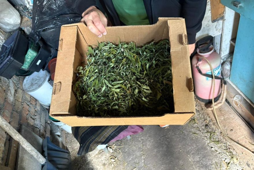 У жителя Пензы изъяли 6 кг наркотиков