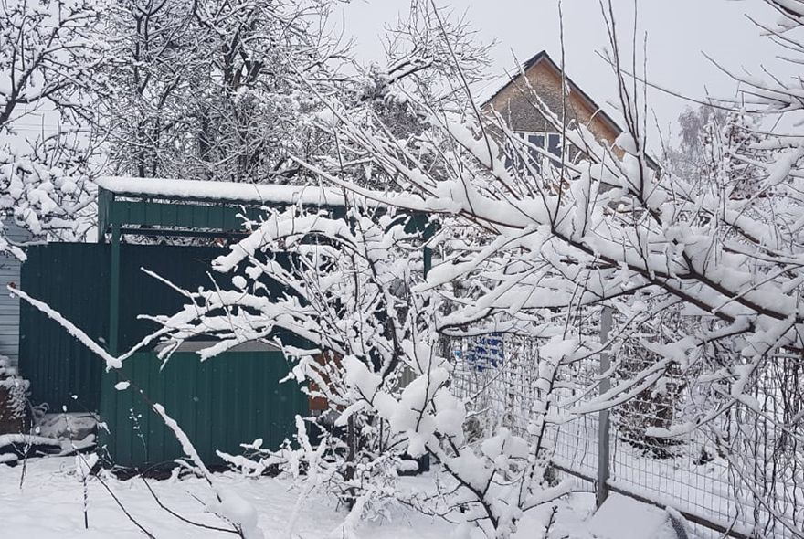 Тропинку снегом замело…