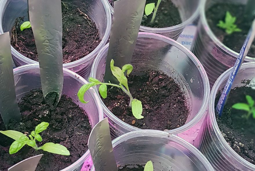 Всему свое время