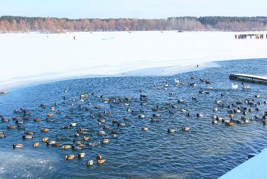 Особая сила талой воды