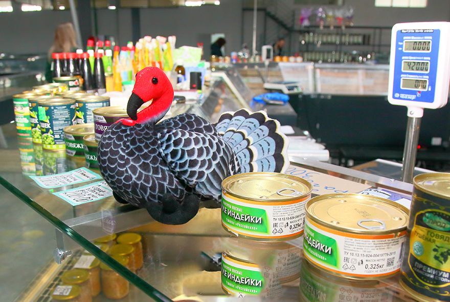 Пензенская индейка отправится в Малайзию