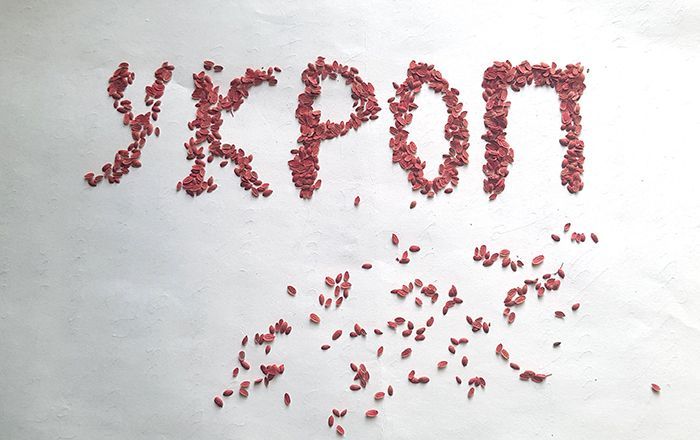 Цветные семена – хорошо или плохо?