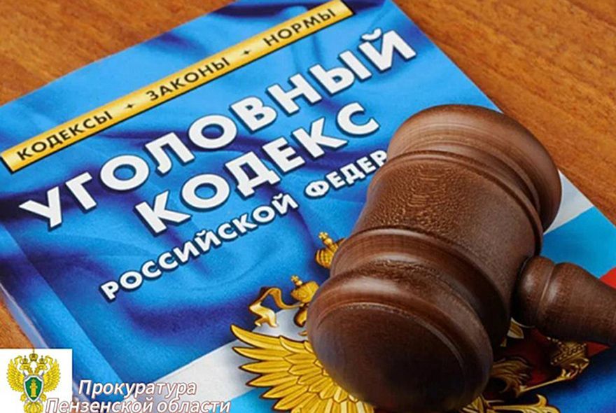 В Пензе осудили иностранца за убийство сожительницы