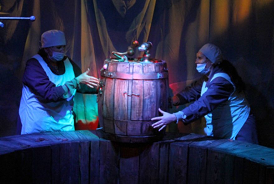 В Кукольном доме - «Ангел, принц и апельсины»