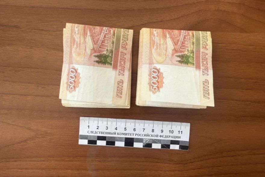 Дело Фейгиной передано в суд