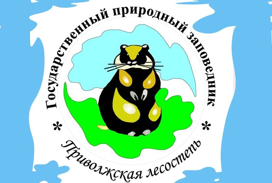 От кого больше добра — от сурка или бобра?