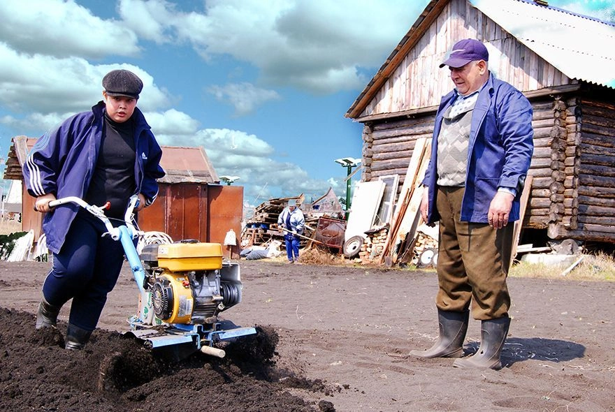 Картофель, будь готов!