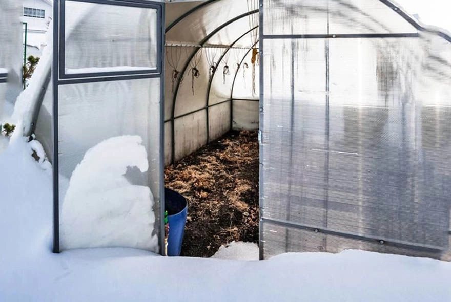 Снег в теплице