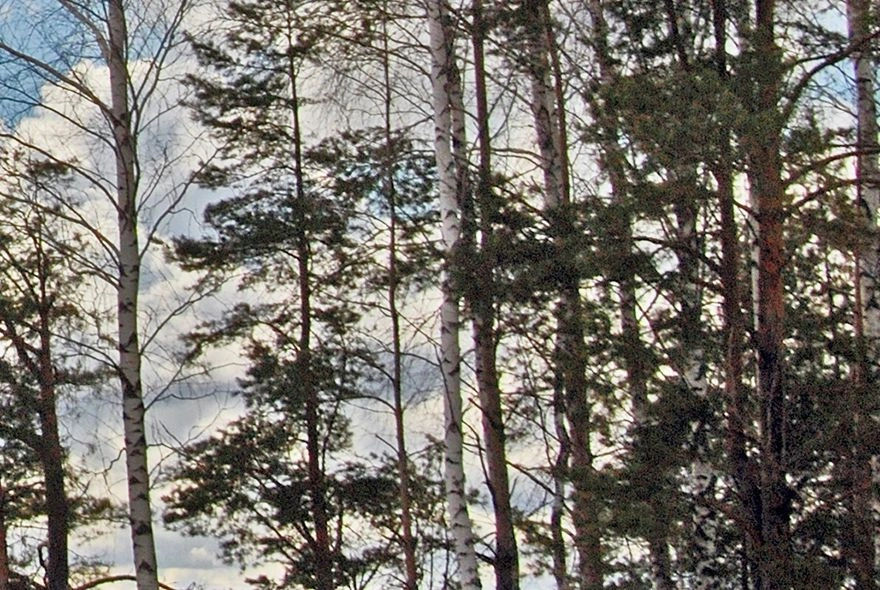 Что делать при объявлении режима «Воздушная опасность»