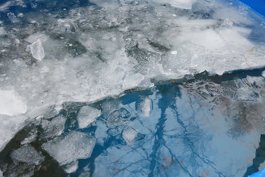 Половодье - 2026