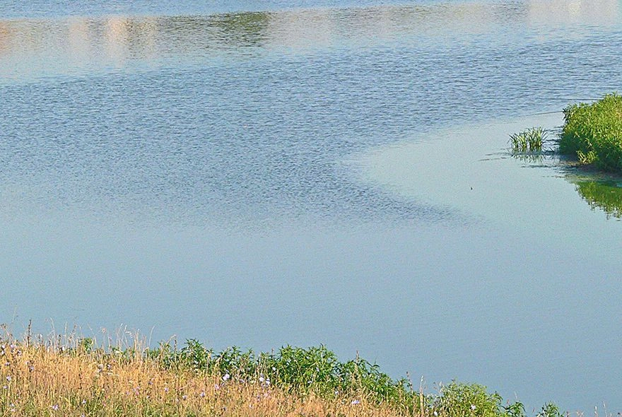 Основные правила поведения в жару