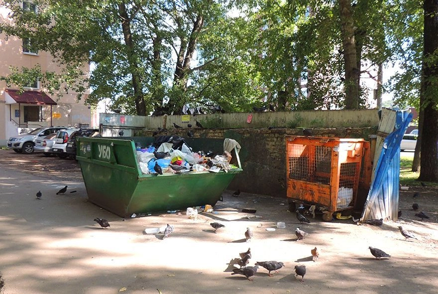 Утилизация мусора в Пензе: по правилам и без