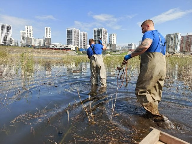 В водоеме Пензы нашли тело 