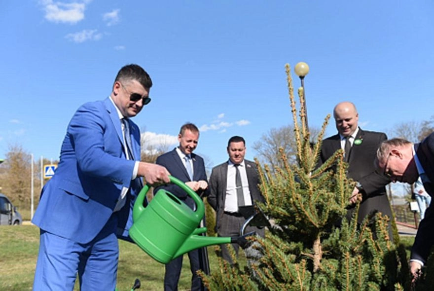 Пензенцы высадили ели на Аллее Дружбы в Могилеве