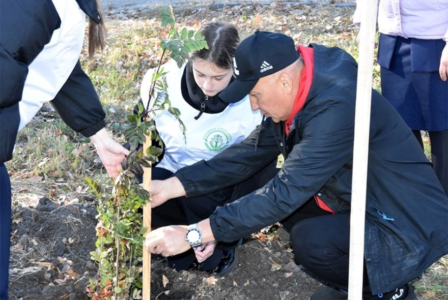 В Пензе продолжают высаживать деревья