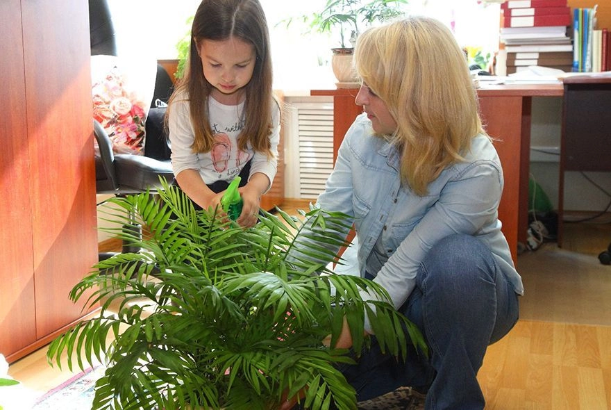 Цветы в декабре
